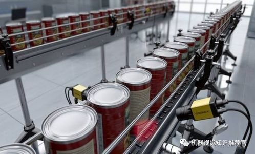 機器視覺在食品安全檢測領(lǐng)域的應(yīng)用與展望 技術(shù)服務(wù)與技術(shù)轉(zhuǎn)讓的雙重驅(qū)動